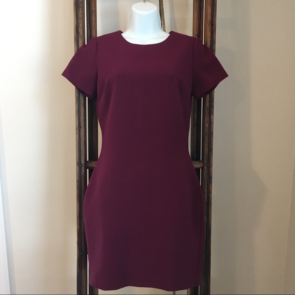 Maroon/Burgandy Bodycon Formal Dress-Likely Size 6